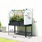 Elevated raised garden bed with white greenhouse cover and black metal frame with lower shelf