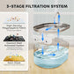 Pet water fountain filtration system with layered filter components and water reservoir