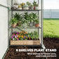 White PE greenhouse with green frame, 6 wire shelves filled with potted plants