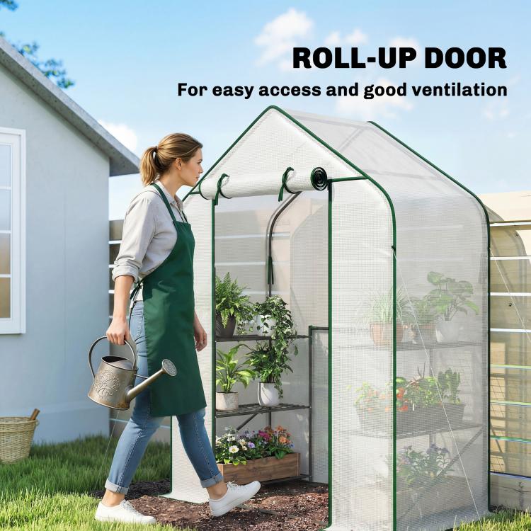 White PE greenhouse with green frame and roll-up door for easy access and ventilation