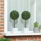 Pair of green boxwood-style topiary balls on wooden stems in white square planters