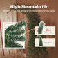 Dense green fir branches with needle tips for a slim tree look