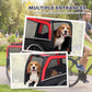 Dog bike trailer with multiple entry openings and mesh front viewing panel