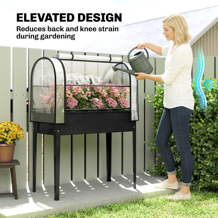 Black raised garden bed greenhouse cover on tall legs with plants and outdoor user view