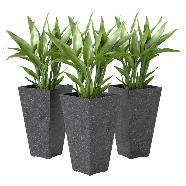 Set of 3 black marble-finish plastic planters with square tapered shape and green plants