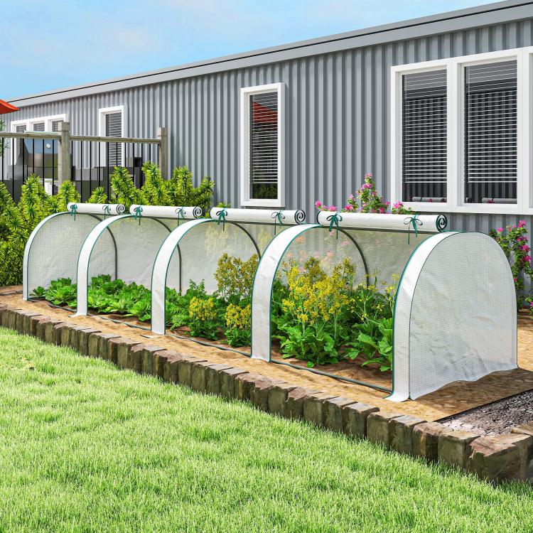 Portable mini greenhouse with white PE cover and 4 roll-up door panels