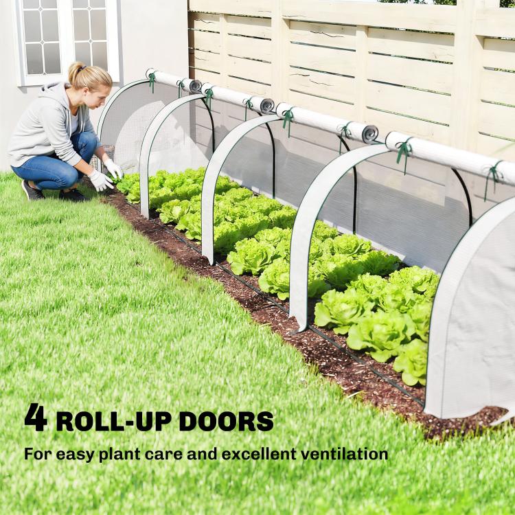 Mini greenhouse with white roll-up end doors protecting leafy plants in rows