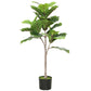 Artificial fiddle leaf fig tree in black pot with flocked soil, green artificial leaves