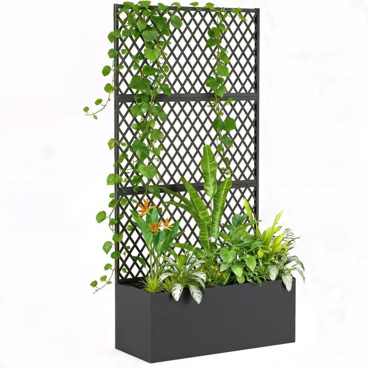 Black metal raised planter with diamond lattice trellis and climbing vines
