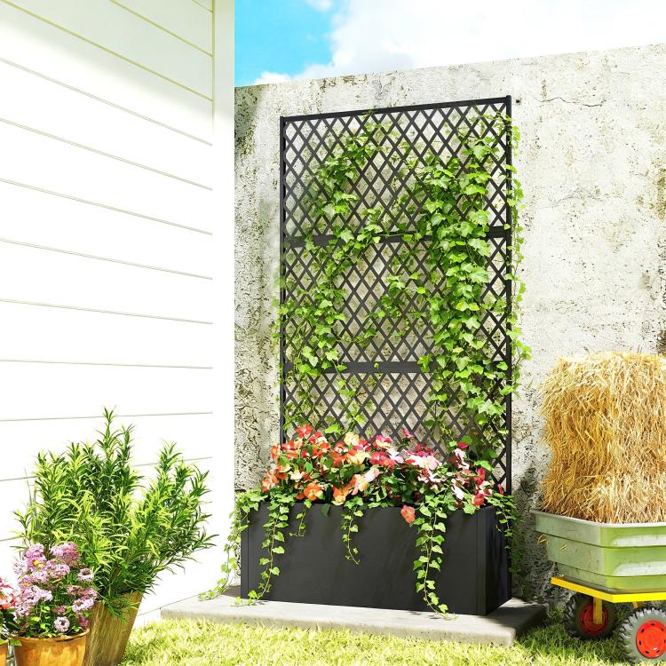 Black metal planter with diamond trellis screen and lush climbing plants