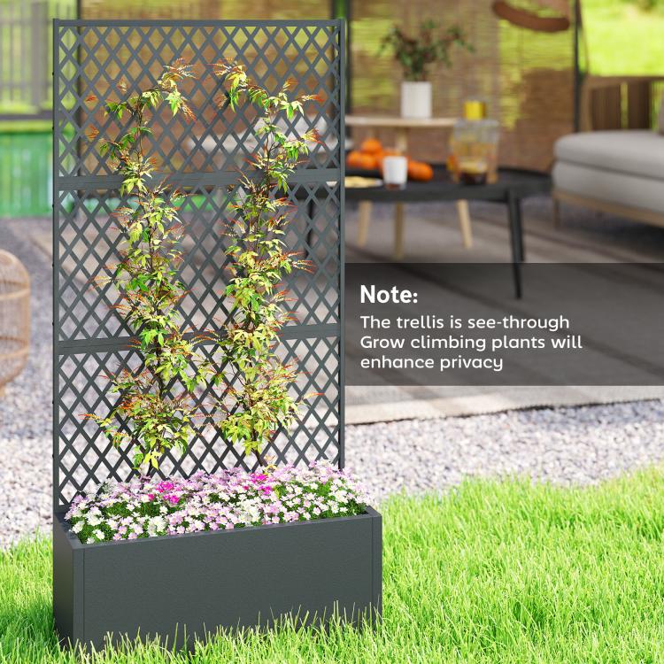Black metal planter with diamond lattice trellis and climbing greenery