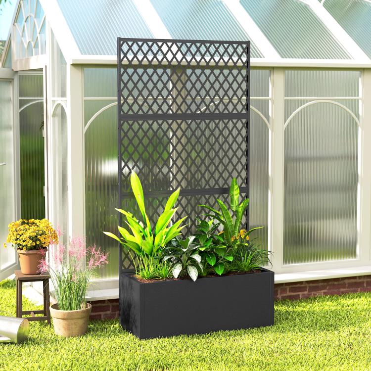 Black metal planter with diamond lattice trellis panel and leafy plants