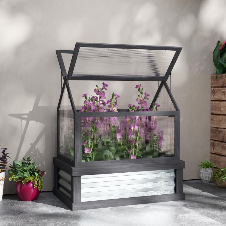 Gray raised garden flower bed with greenhouse panels on wooden cold frame; purple flowers