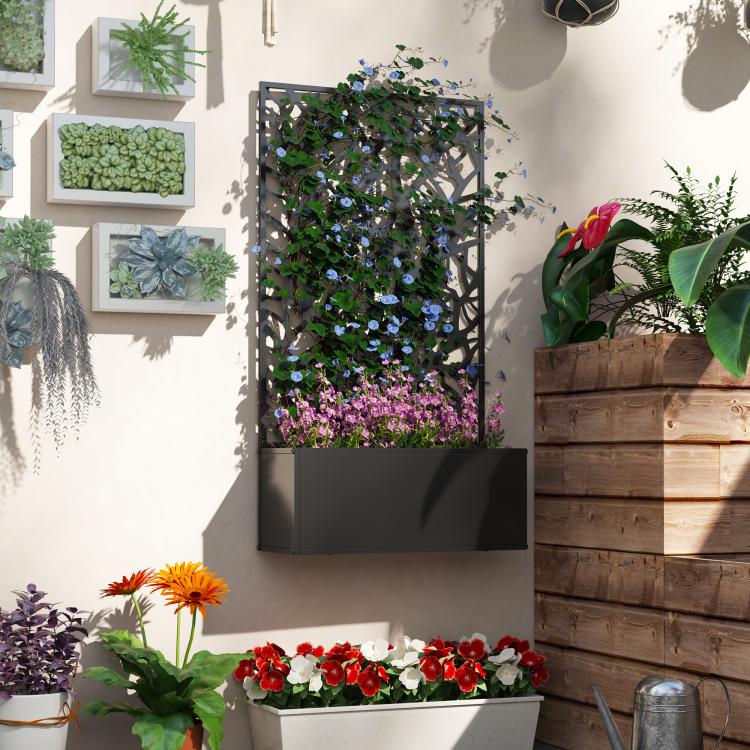 Wall-mounted black metal trellis planter with flowers and cascading vines