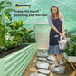 Green tunnel greenhouse with person gardening inside plant rows