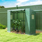 Green small greenhouse with open front door and plants inside the frame