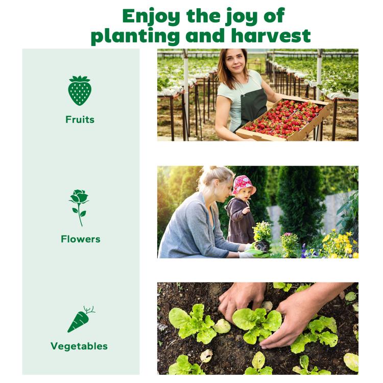 Planting and harvesting infographic with fruit, flowers, and vegetables photos
