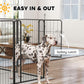 Black metal dog playpen with latch area, dalmatian dog standing inside