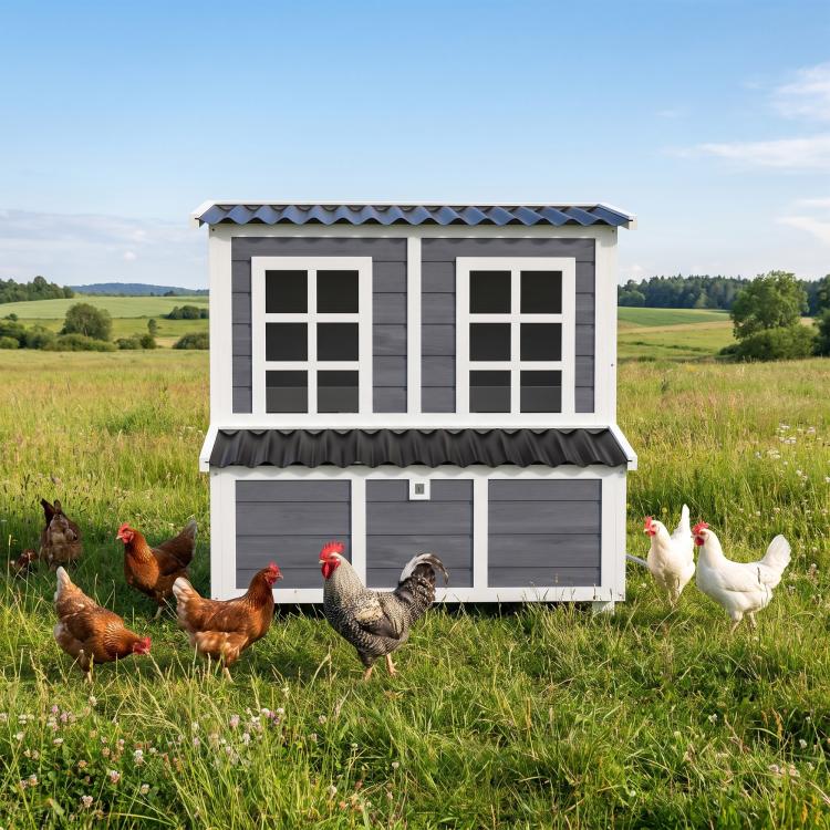 Wooden Chicken Coop with Nesting Box, Pull-Out Tray, Waterproof Roof, 39 inch Chicken House for 2-4 Chickens, Rabbits