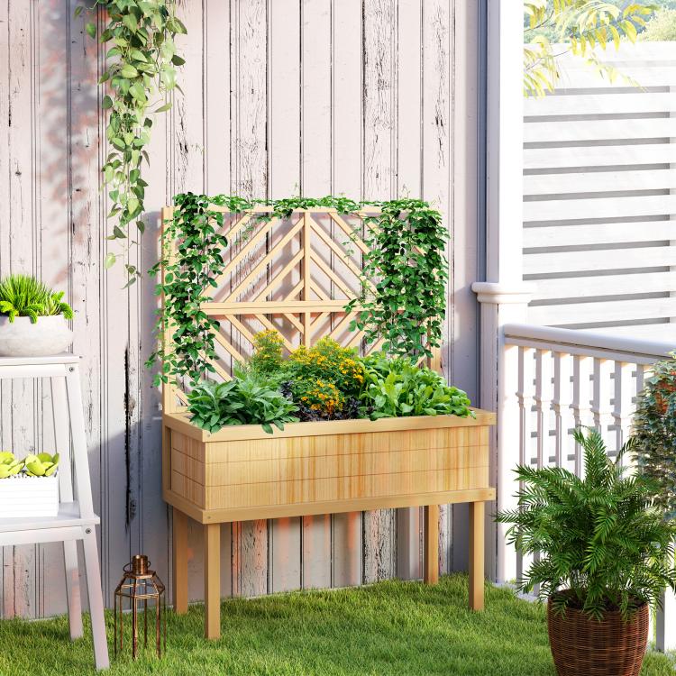 Natural wood raised planter with trellis and four legs, filled with climbing plants