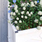 White raised garden bed planter with lattice trellis and leafy vines, white flowers