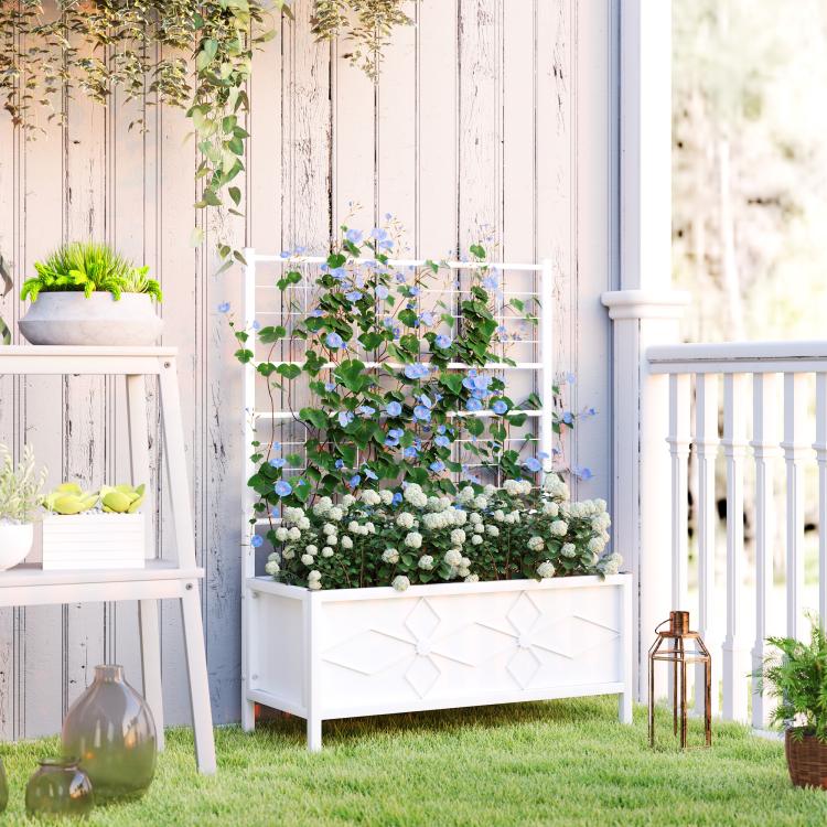 White raised garden bed with trellis back and front flower planter box
