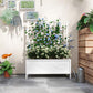 White raised garden bed planter with trellis and flower boxes with blue blooms