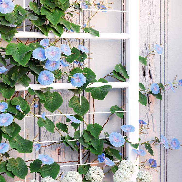 White trellis with leafy climbing vines and blue flowers attached to planter