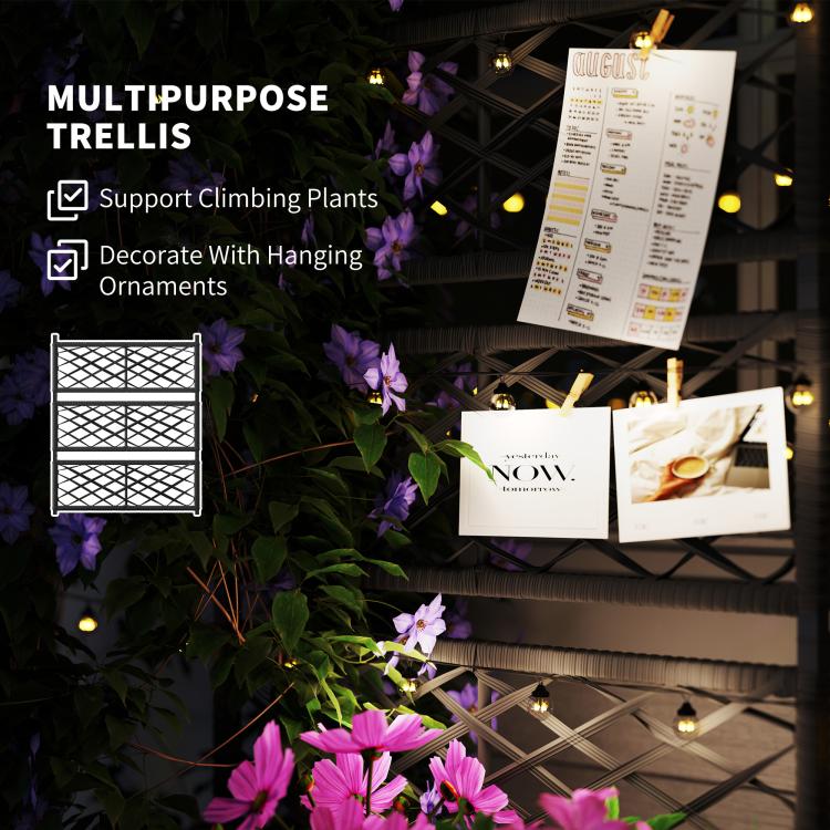 Black trellis planter frame for climbing plants with wire lattice back and two storage levels