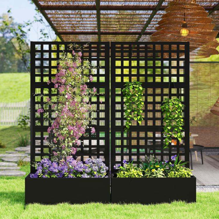 Black raised garden bed planter with lattice trellis and flowering climbing plants