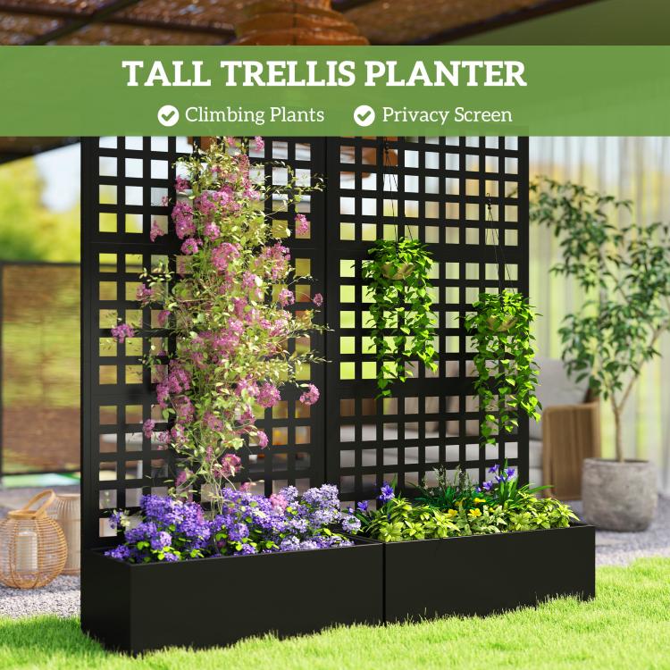 Black raised trellis planter with climbing plants and purple blossoms