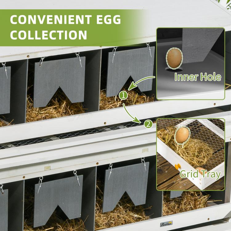 Chicken nesting box detail showing inner hole and grid-style egg collection tray beneath compartments