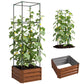 Raised garden bed with tomato cage and brown wooden planter, climbing green plants