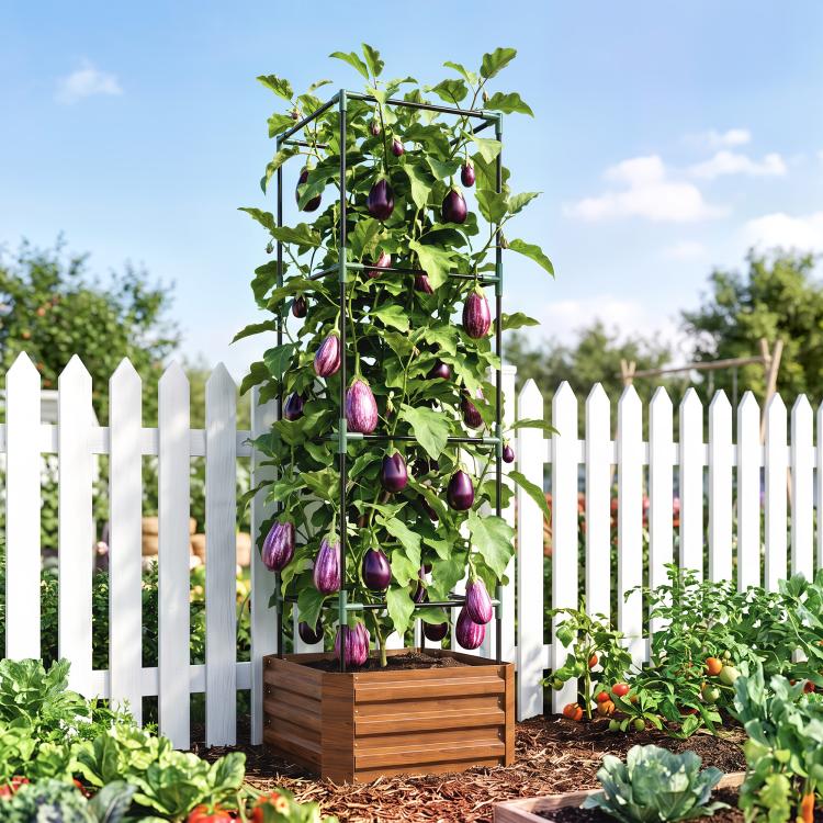 Raised garden bed with tall tomato cage, brown planter, purple eggplants on vines