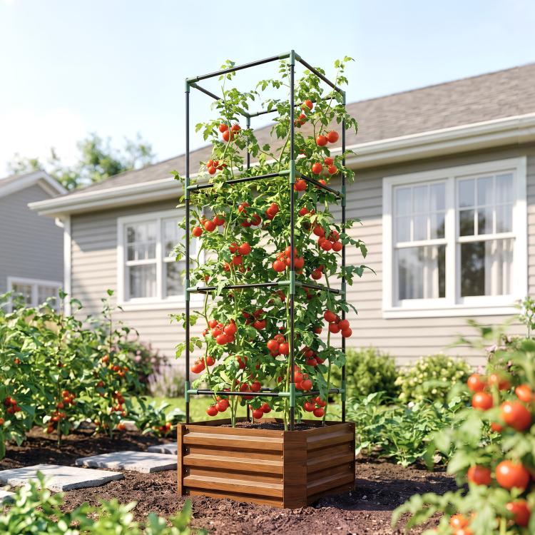 Raised garden bed with tomato cage, brown planter, green leaves and red cherry tomatoes