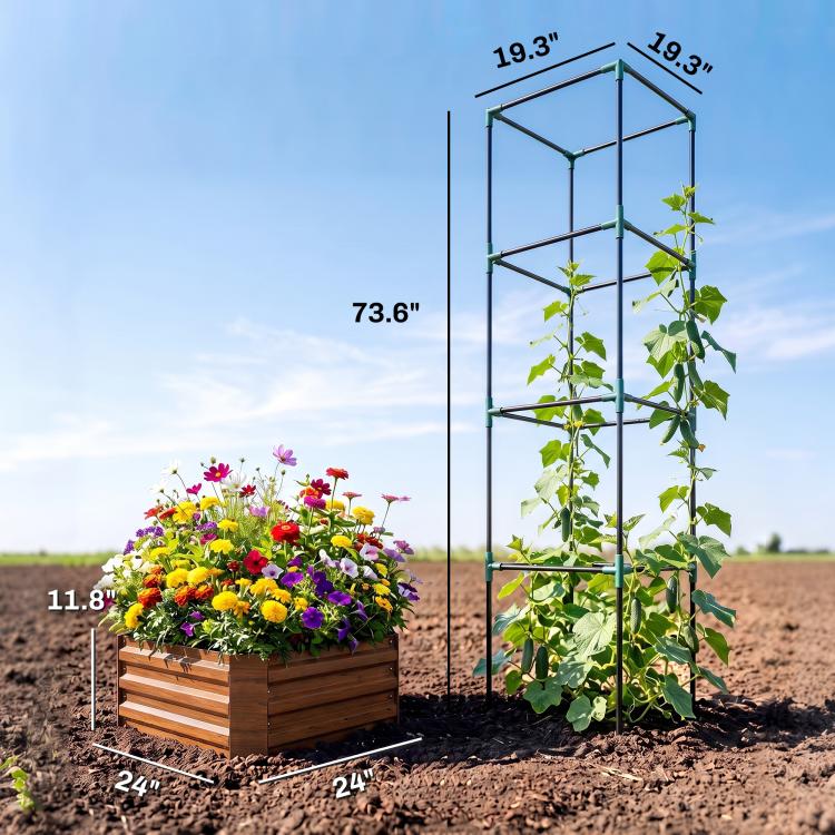 Raised garden bed with tomato cage and brown planter, shown with size markers