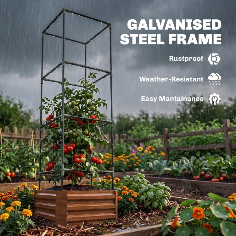 Raised garden bed with galvanized steel frame and tomato cage, brown planter