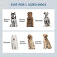 Pet feeding station with two stainless bowls and storage drawer, with dog size lineup illustration