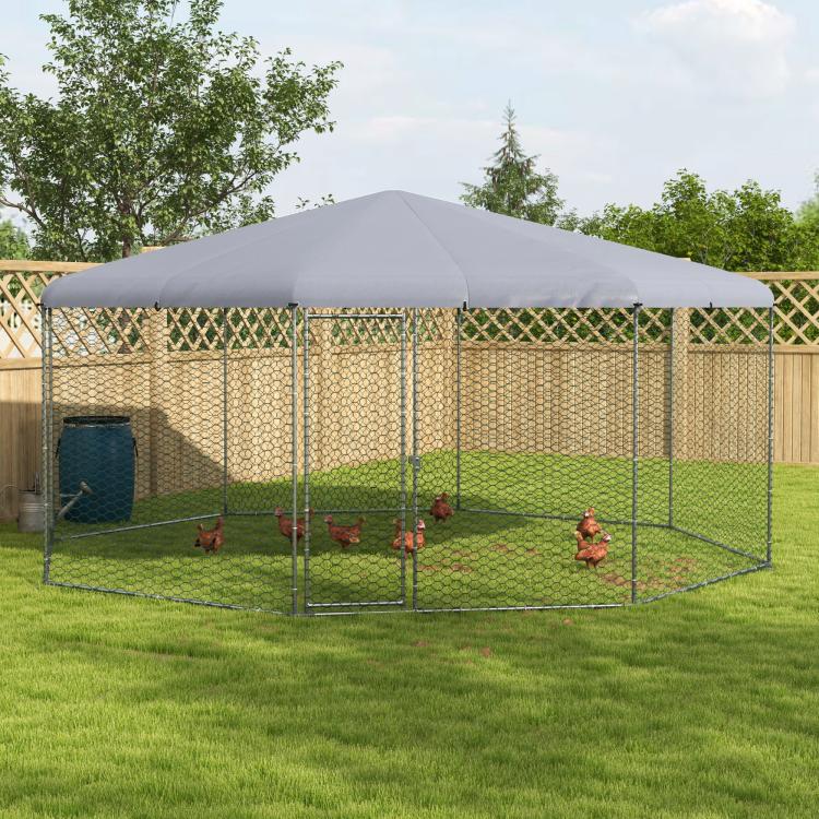 Spacious chicken run with gray canopy and wire mesh enclosure with chickens