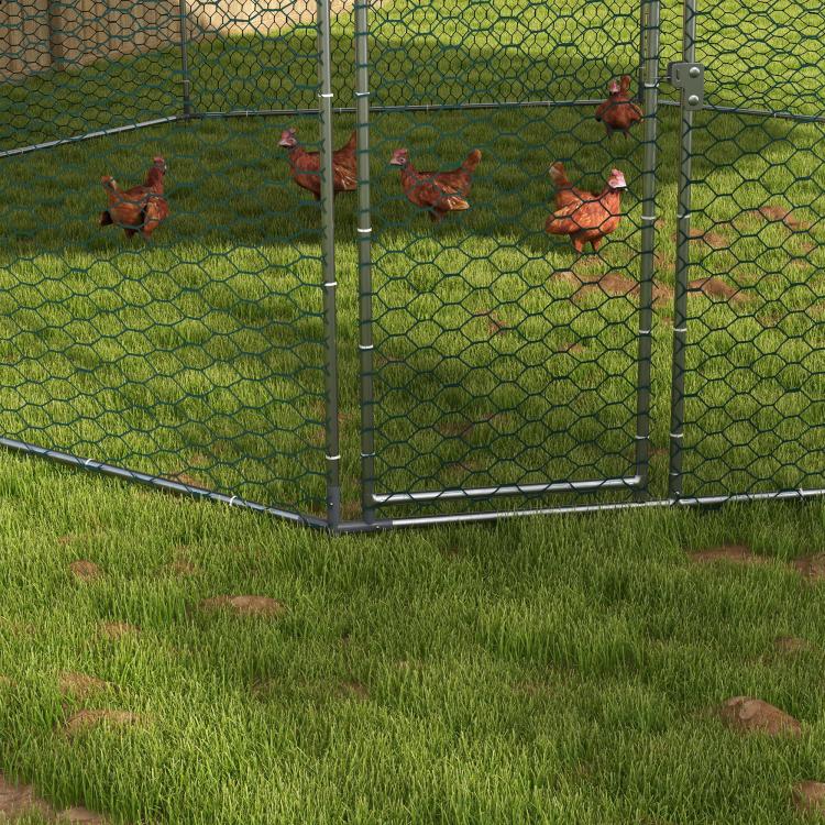 Front corner of chicken run with gray bottom frame and wire mesh door panel