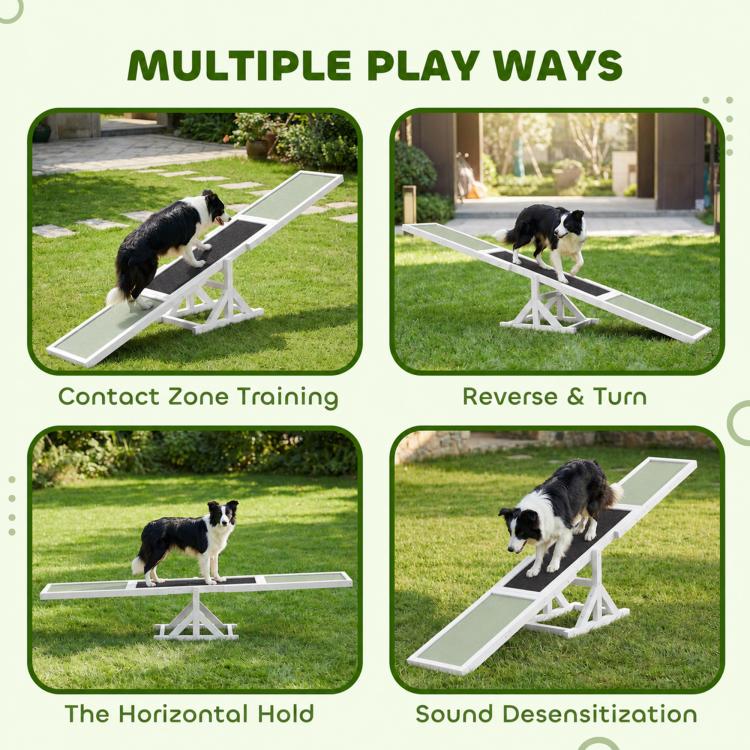 Wooden dog agility seesaw with white frame and green ramps, dog practicing on black strip