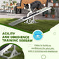 White wooden dog agility seesaw with green ramps and black contact strip, dog on it