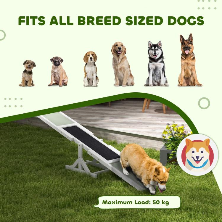 Wooden dog agility seesaw with green ramps and black center strip, dog demonstrating