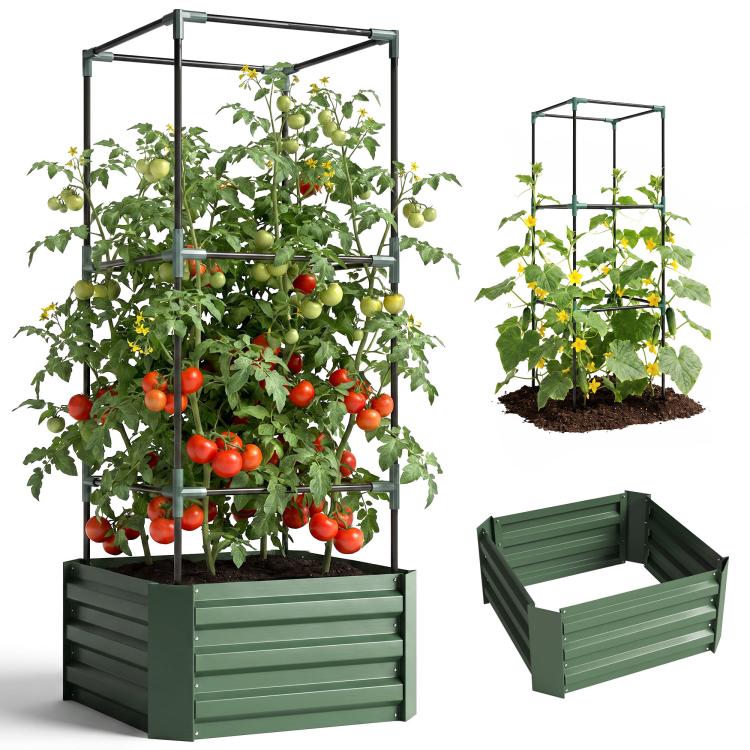 Green raised garden bed with metal trellis and tomato plants in soil
