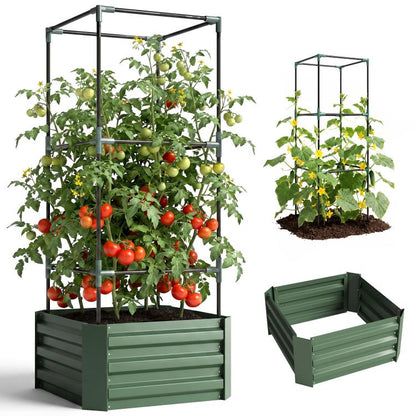 Green raised garden bed with metal trellis and tomato plants in soil