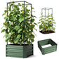 Green raised planter with trellis frame holding leafy vines and blossoms