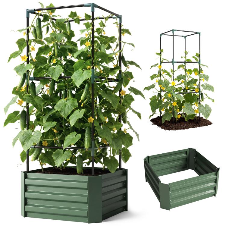 Green raised planter with trellis frame holding leafy vines and blossoms