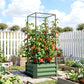 Green raised garden bed with tomato cage, filled with climbing tomato vines and red fruit