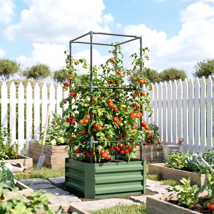 Green raised garden bed with tomato cage, filled with climbing tomato vines and red fruit