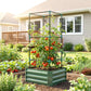 Green raised garden bed with tomato trellis beside home garden plants